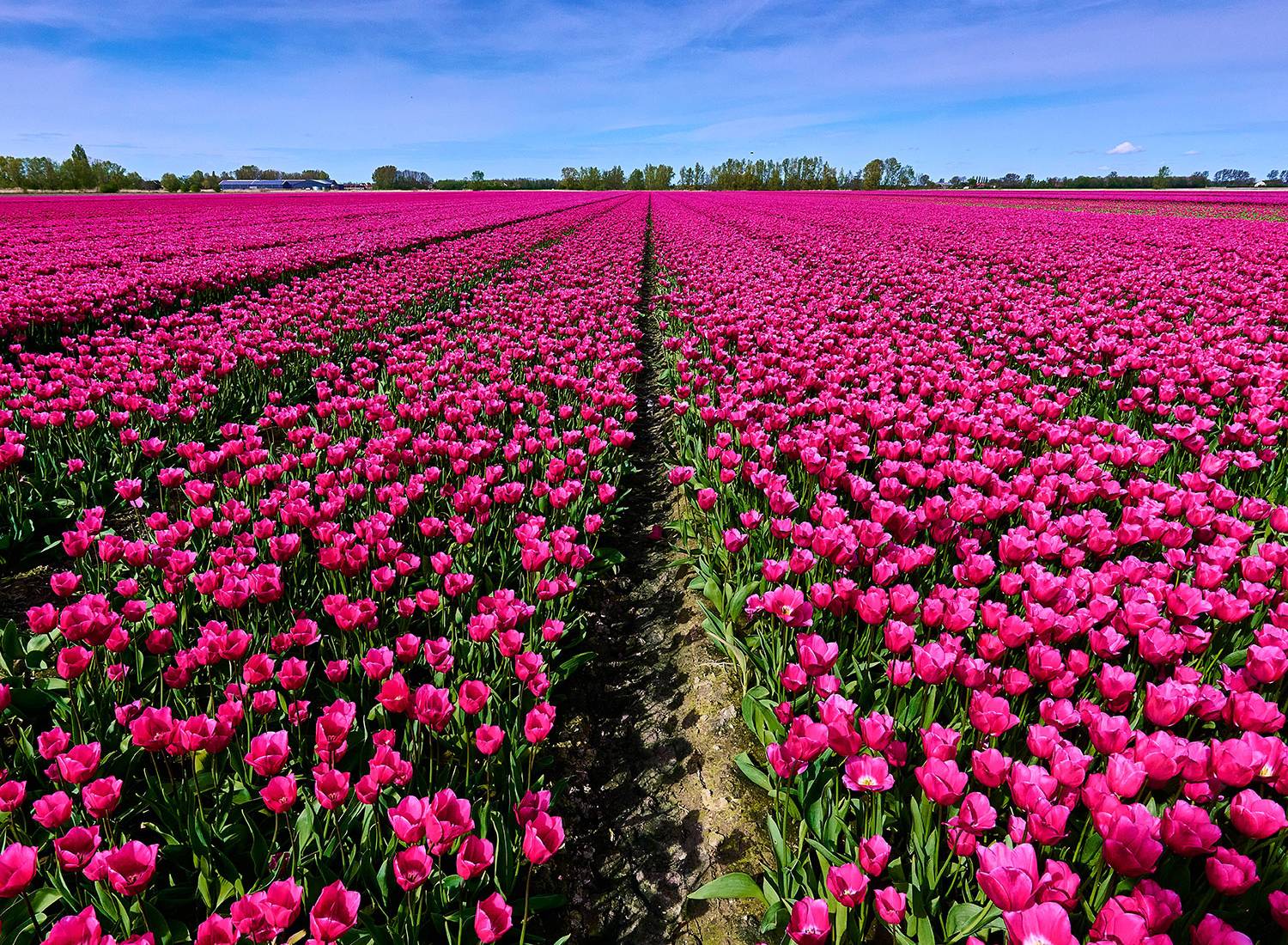 Bouquetnet lange termijn partnerschap