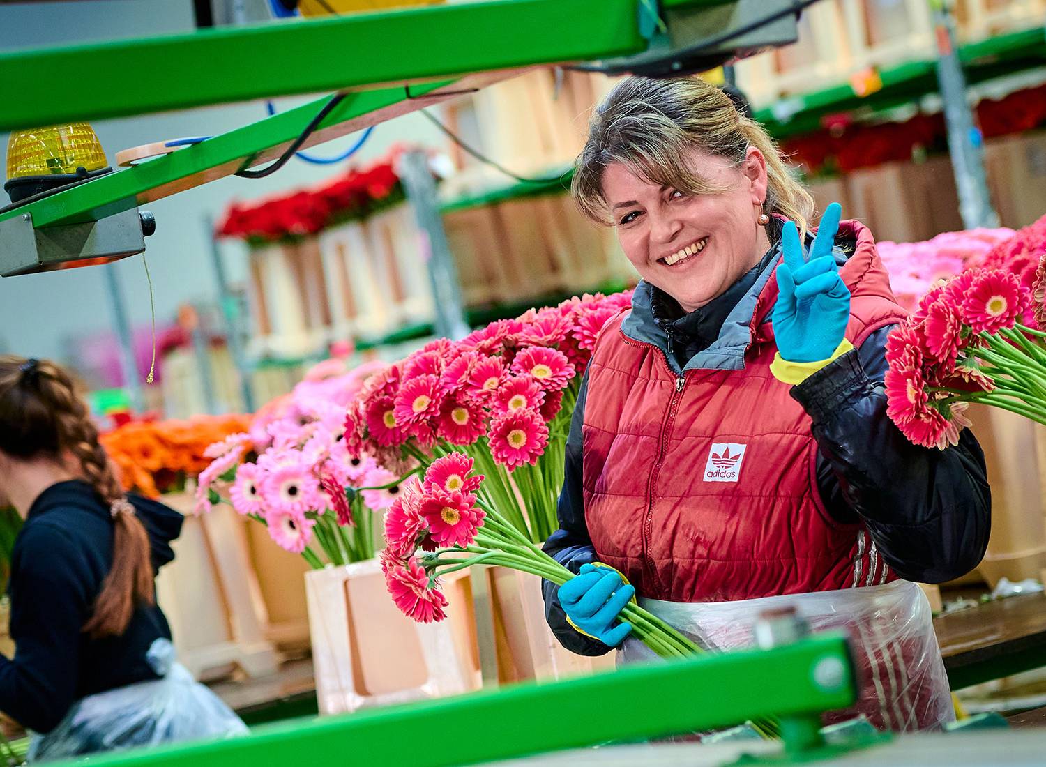 Bouquetnet onderdeel van OFG